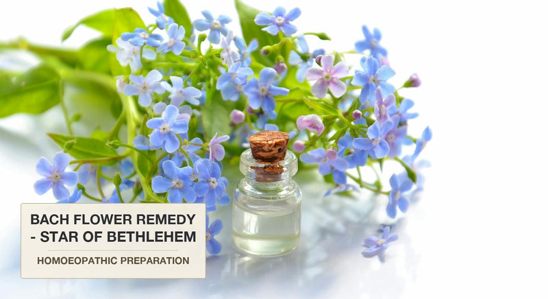 Bach Flower Remedies